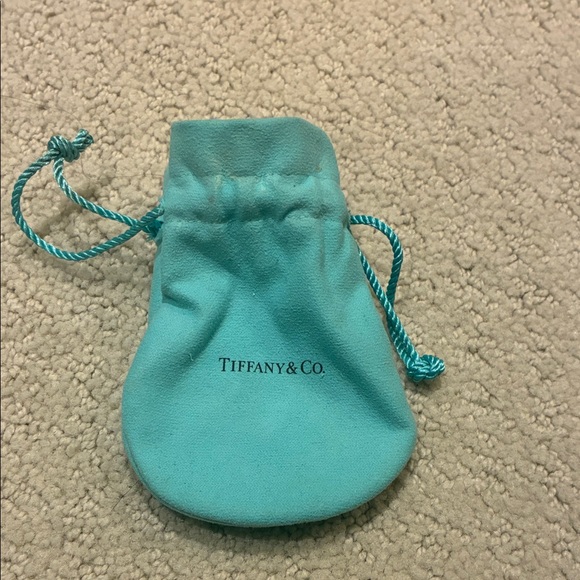 Tiffany & Co. Turquoise Jewelry Pouch - Picture 2 of 2